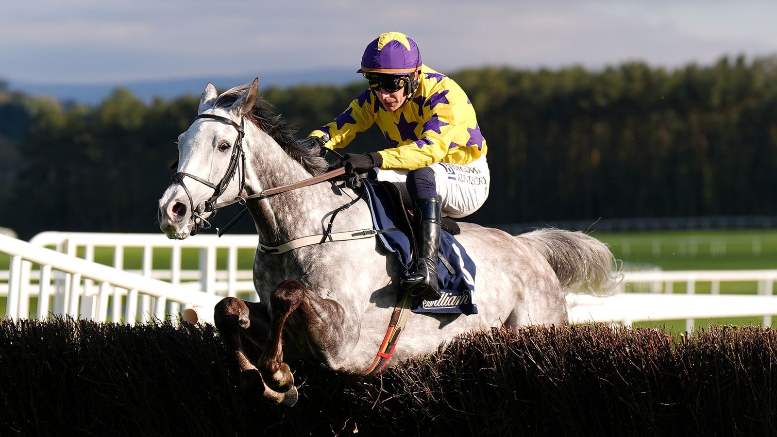 Il Etait Temps Shines with Punchestown and Cheltenham Wins