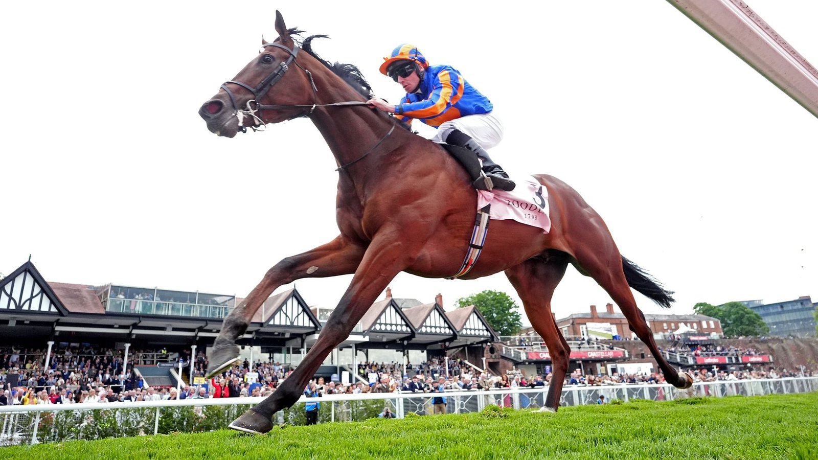 Constitution River Set for French Derby Challenge at Chantilly