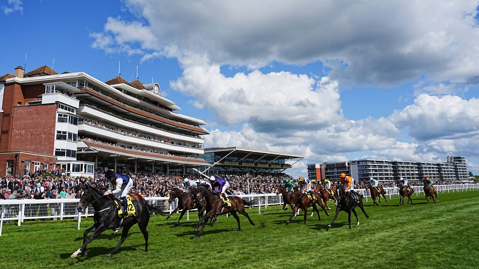Exciting Flat Racing at Newbury: Al Durry and Oursin Eye Hat-Tricks