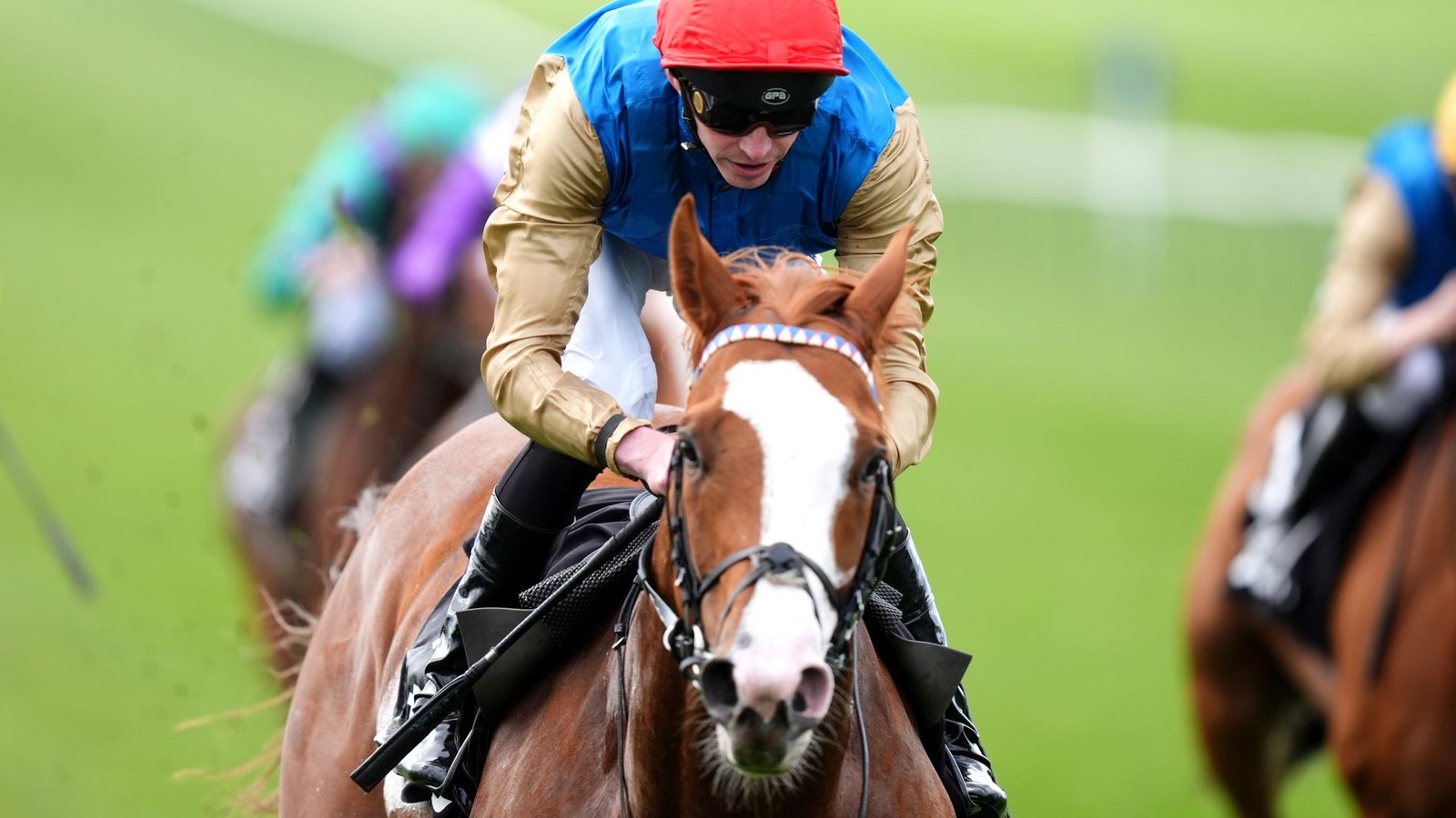 Exciting Racing Action Ahead at Multiple Venues
