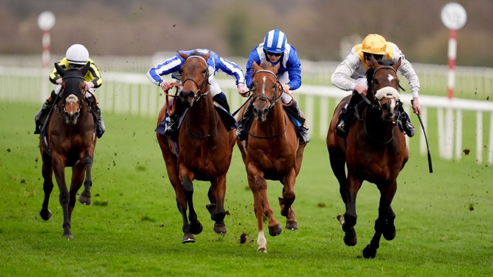 Exciting Racing Action Set for Saturday Across Multiple Venues