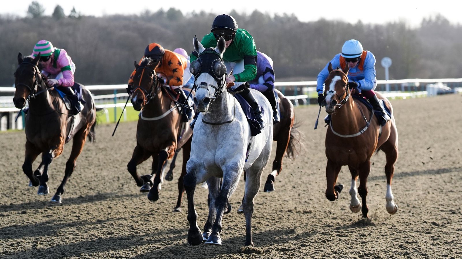 Lingfield's Evening Feature Highlights Sunshine Star's Comeback