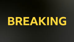 Marco Silva Approaching Benfica Management Position